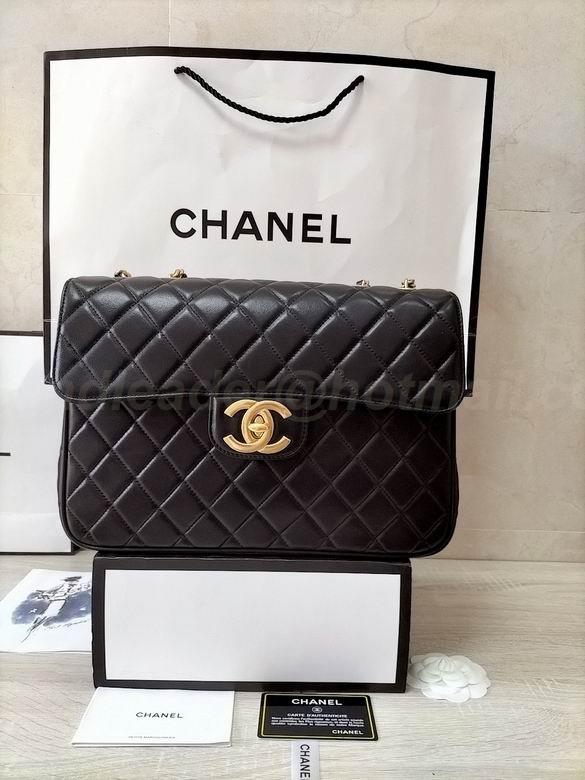 Chanel Handbags 173